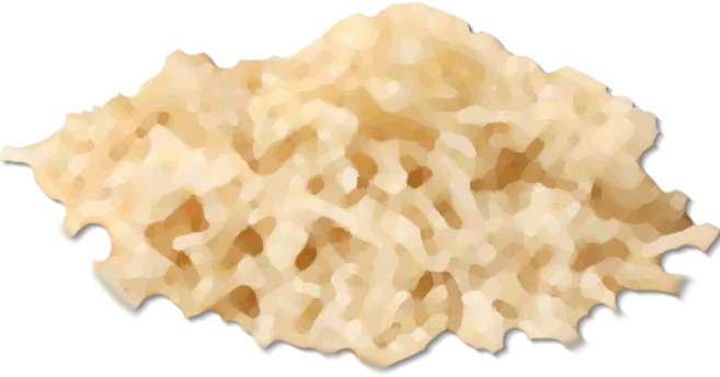 Horseradish